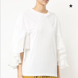 Chloe Ruffle Sleeve Blouse